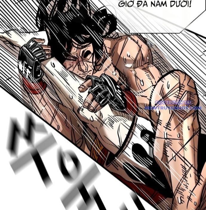 Shark - Cá Mập Chapter 340 - 76