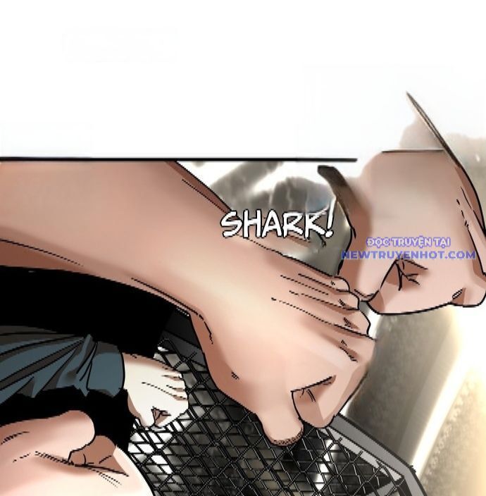 Shark - Cá Mập Chapter 341 - 19