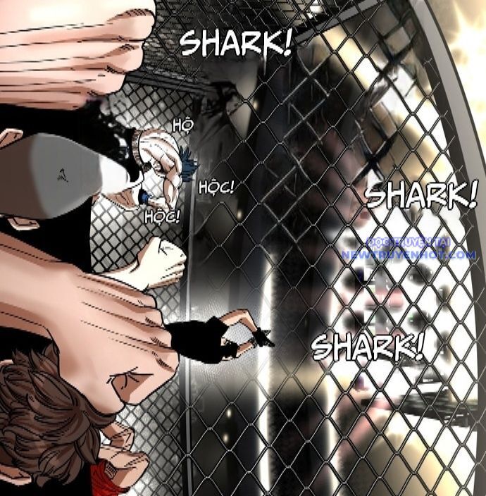 Shark - Cá Mập Chapter 341 - 20