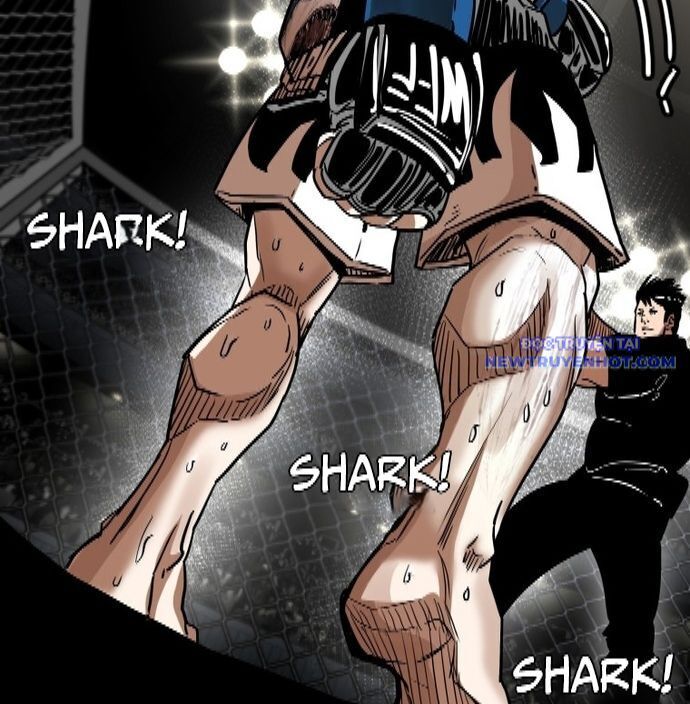 Shark - Cá Mập Chapter 341 - 24