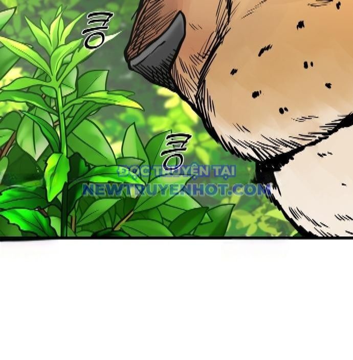 Shark - Cá Mập Chapter 346 - 16