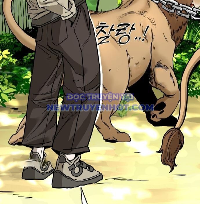 Shark - Cá Mập Chapter 346 - 19