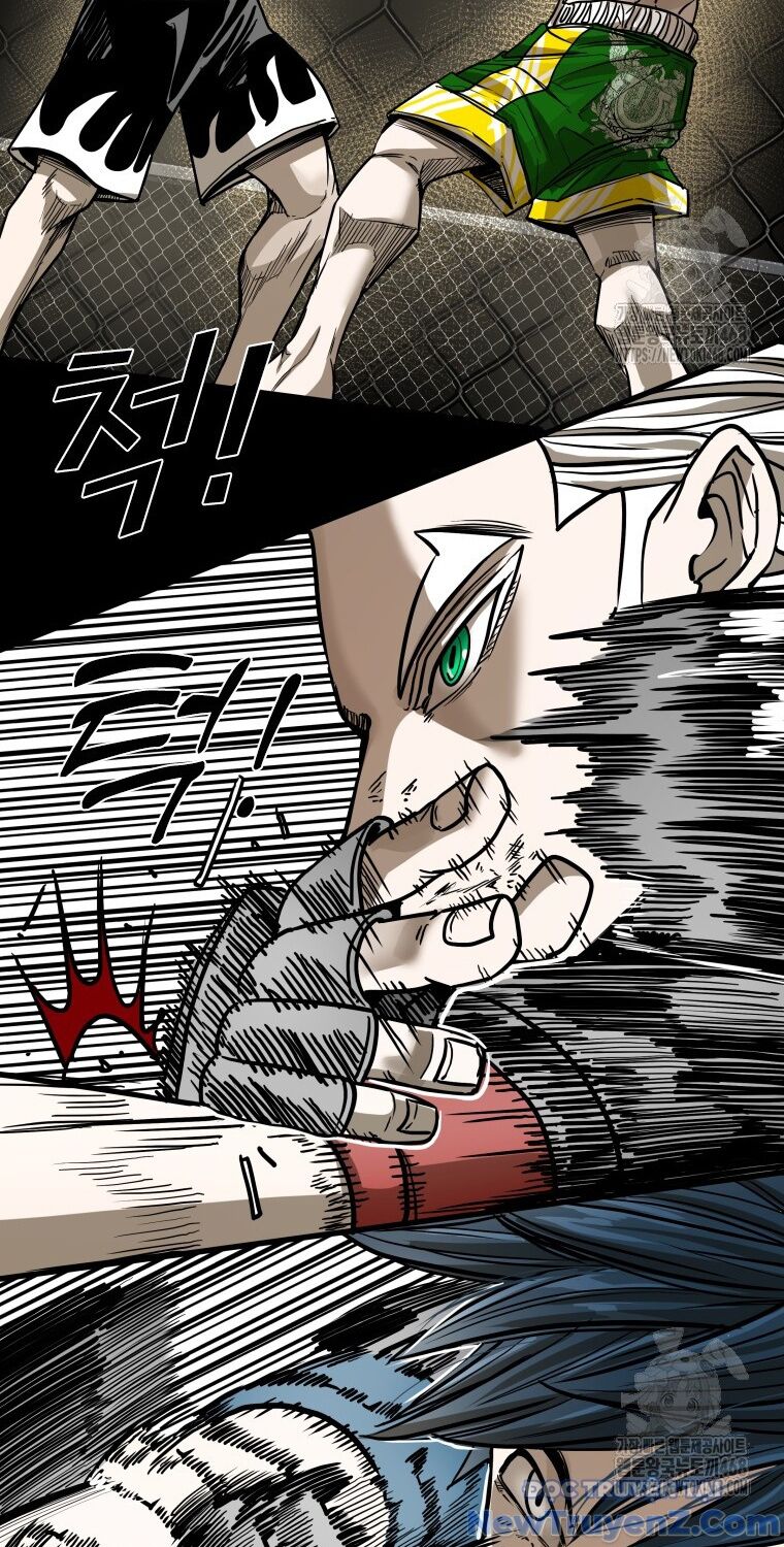 Shark - Cá Mập Chapter 357 - 13