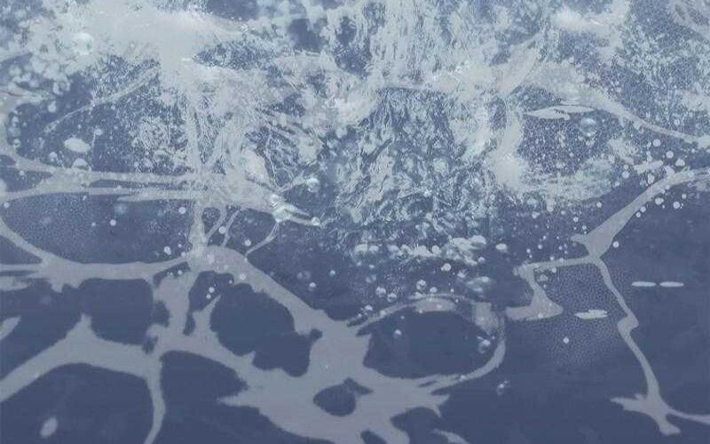 Đào Tạo Mấy Con Mắm Trong Tuyệt Vọng Chapter 57 - 73