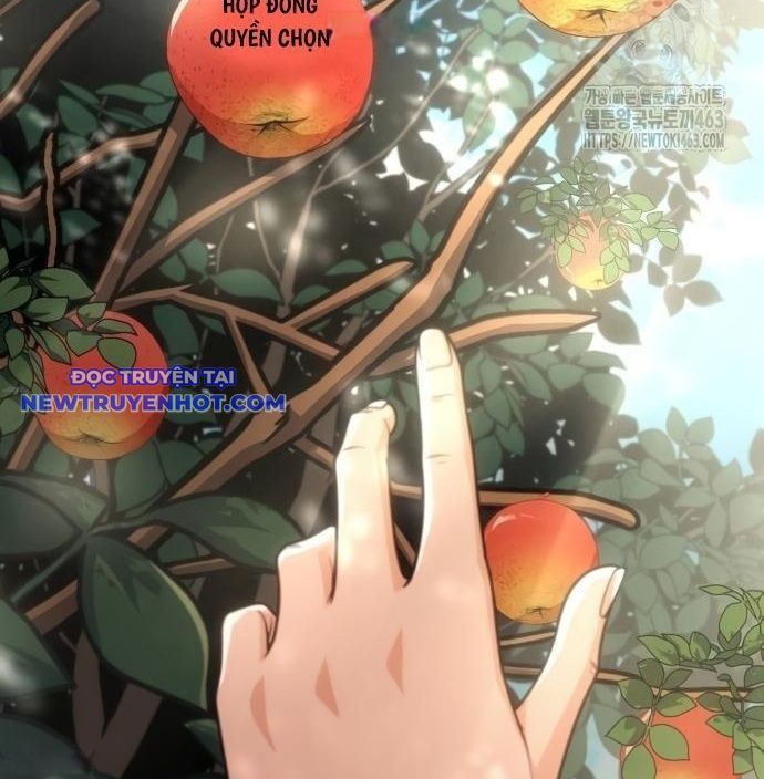 Sau Khi Ly Hôn Ta Trúng Jackpot Chapter 81 - 61