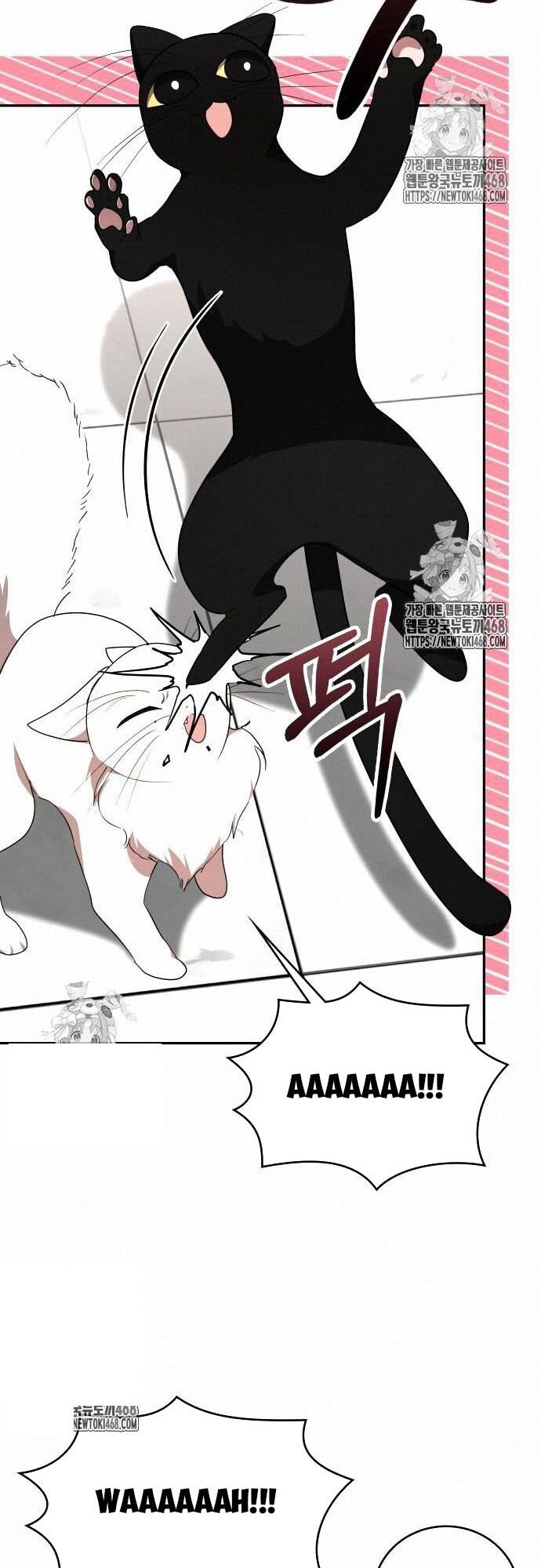 Studio Tùy Hứng Của Nghệ Sĩ Thiên Tài Chapter 93 - 11