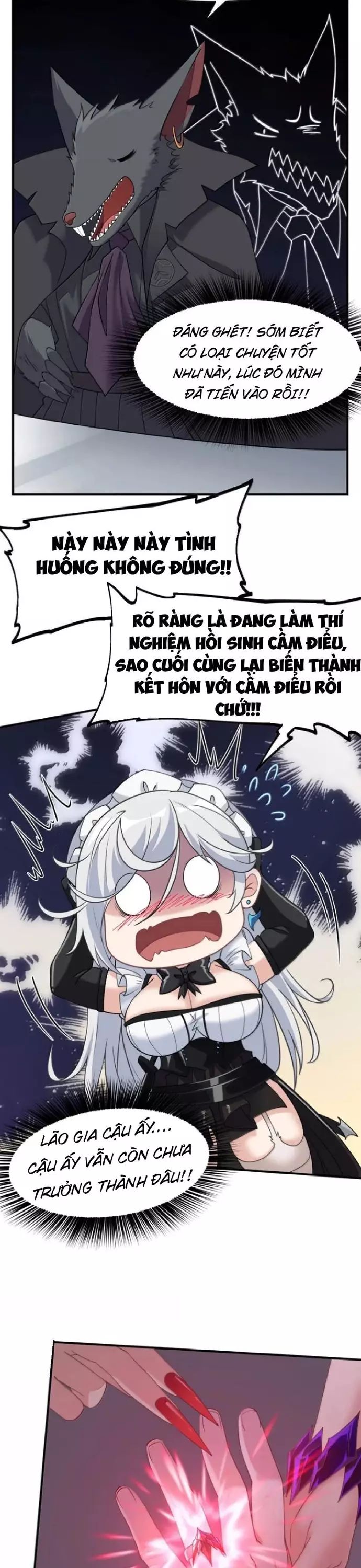 Thuật Sĩ Luyện Kim Tà Ác Không Giải Quyết Được Vật Thí Nghiệm Của Mình Chapter 45 - 5