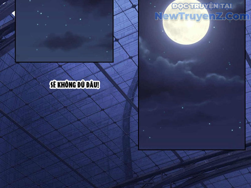Truyền Kỳ Thái Lạc Chapter 196 - 26