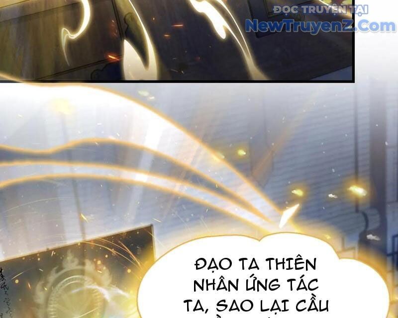 Hoá Ra Ta Đã Vô Địch Từ Lâu Chapter 294 - 56