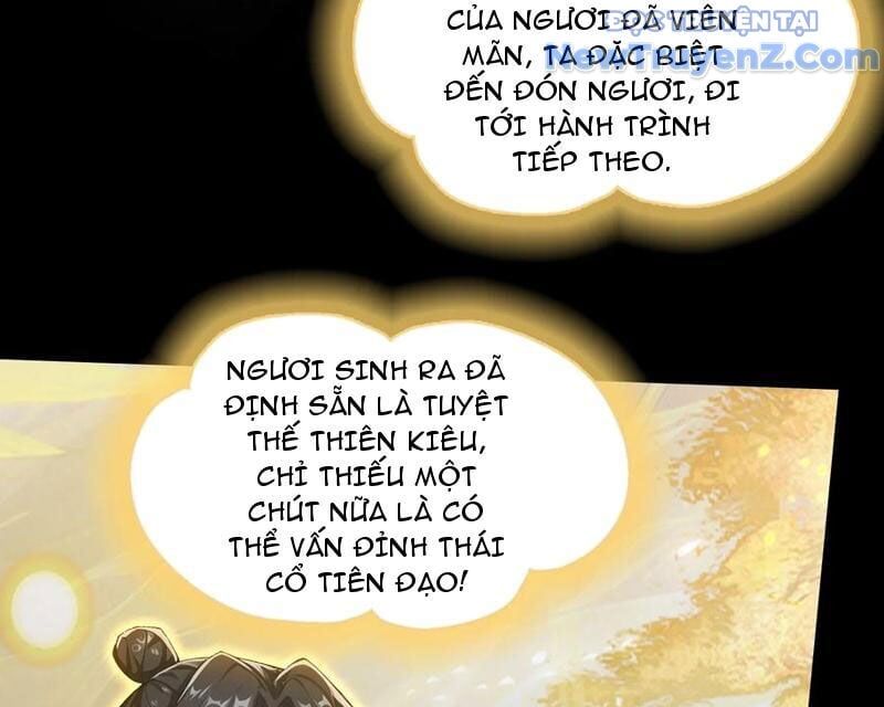 Hoá Ra Ta Đã Vô Địch Từ Lâu Chapter 294 - 92