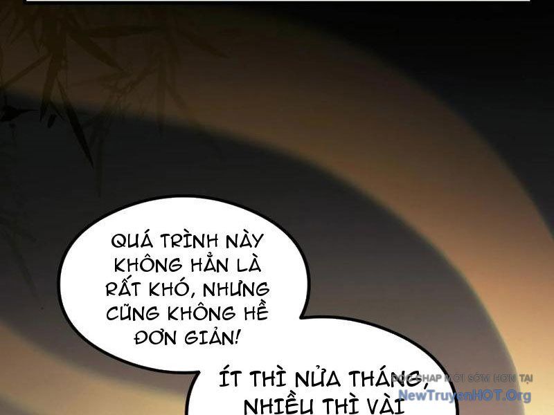 Hoá Ra Ta Đã Vô Địch Từ Lâu Chapter 317 - 29