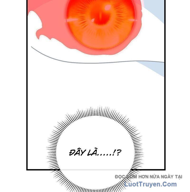 Mệnh Luân Chi Chủ! Khi Dị Biến Giáng Lâm Nhân Gian! Chapter 167 - 26