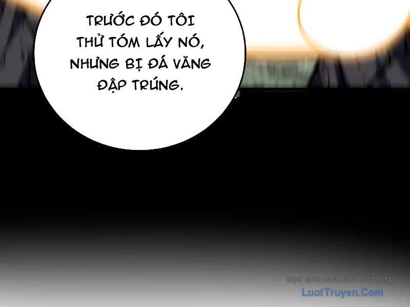 Mệnh Luân Chi Chủ! Khi Dị Biến Giáng Lâm Nhân Gian! Chapter 174 - 91