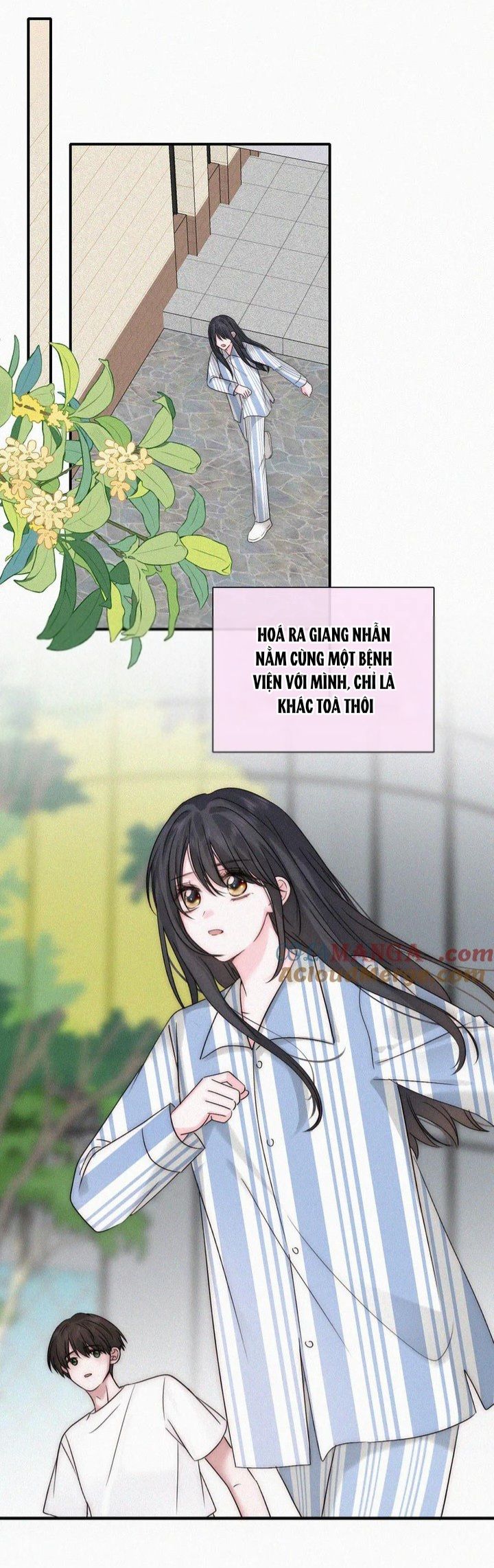 Một Lòng Cưng Chiều Chapter 117 - 6