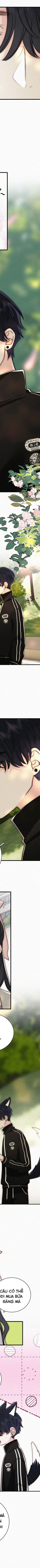 Một Lòng Cưng Chiều Chapter 96 - 15