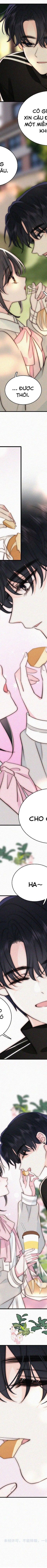 Một Lòng Cưng Chiều Chapter 96 - 17