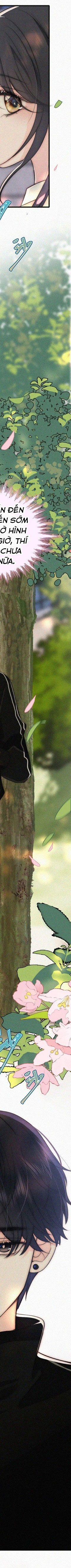 Một Lòng Cưng Chiều Chapter 96 - 9