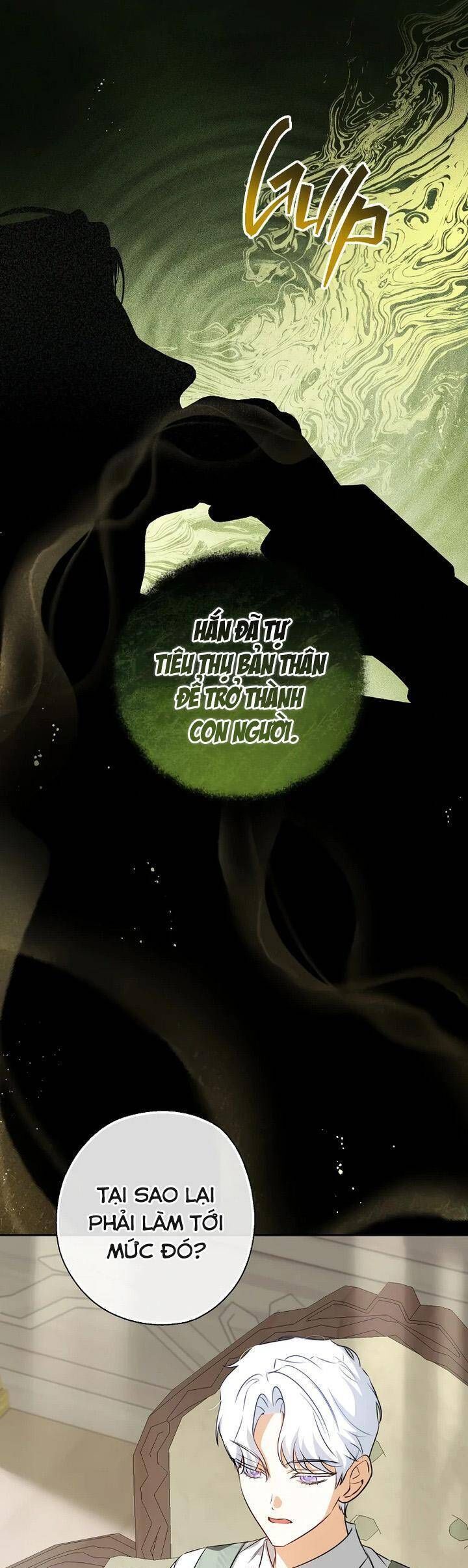 Hình Như Tôi Đã Xuyên Vào Cuốn Tiểu Thuyết Nào Đó Chapter 63 - 36