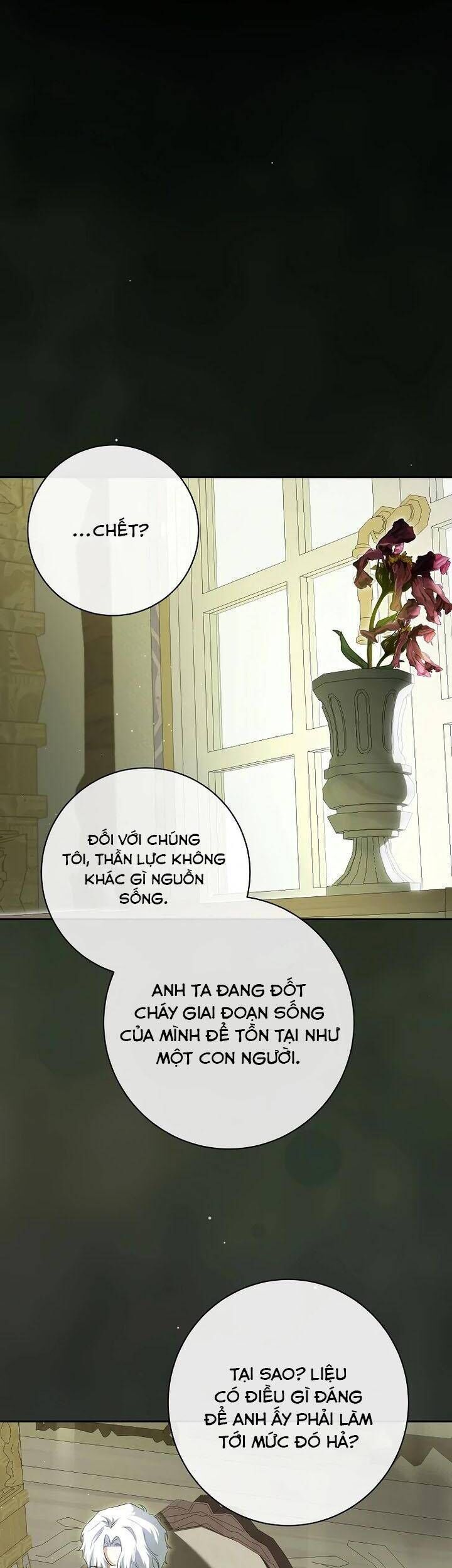 Hình Như Tôi Đã Xuyên Vào Cuốn Tiểu Thuyết Nào Đó Chapter 64 - 3
