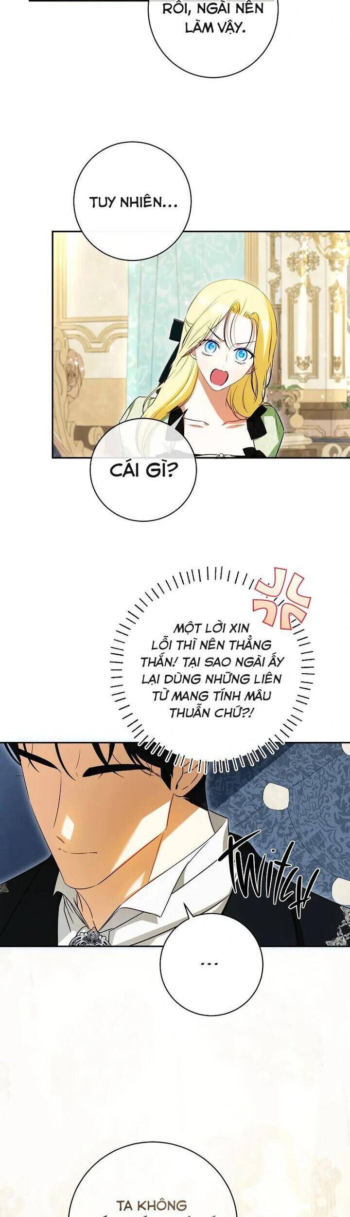 Hình Như Tôi Đã Xuyên Vào Cuốn Tiểu Thuyết Nào Đó Chapter 65 - 16