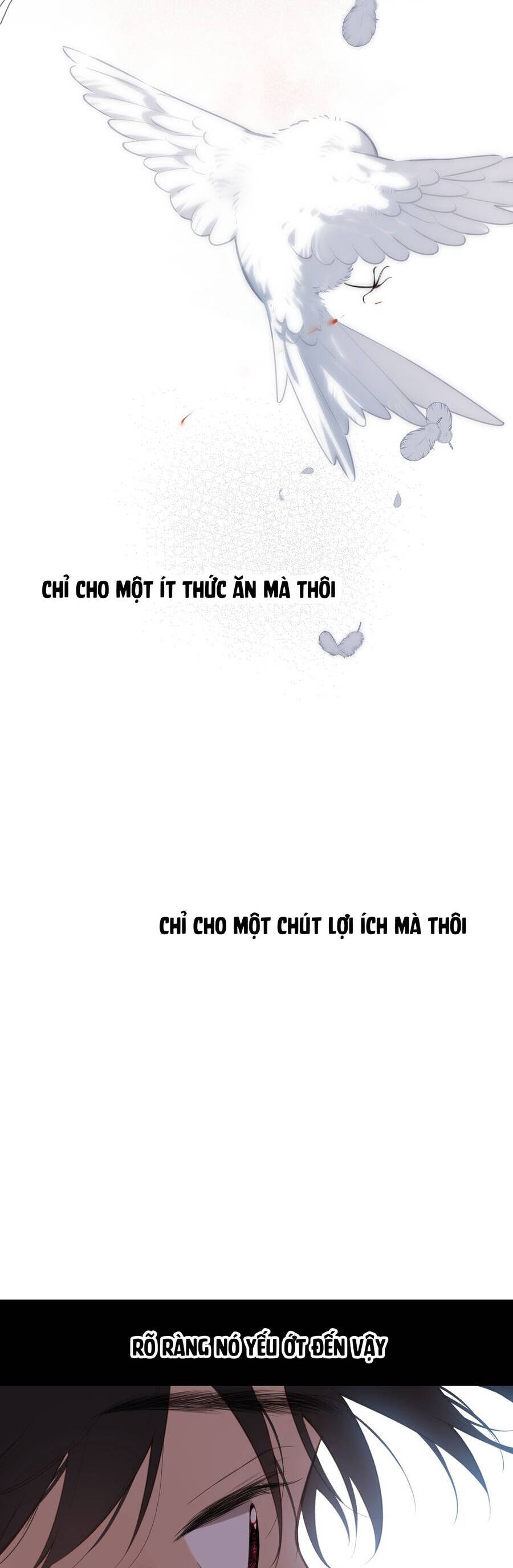 Ngược Dòng Mùa Xuân Chapter 32 - 37