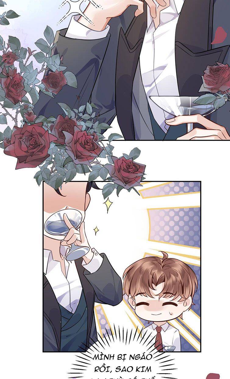 Tổng Tài Định Chế Tư Nhân Chapter  1 - 36