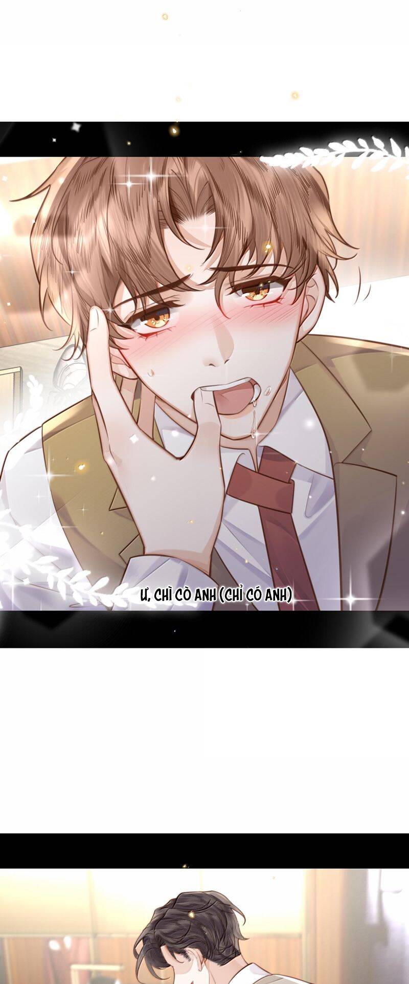 Tổng Tài Định Chế Tư Nhân Chapter  100 - 15