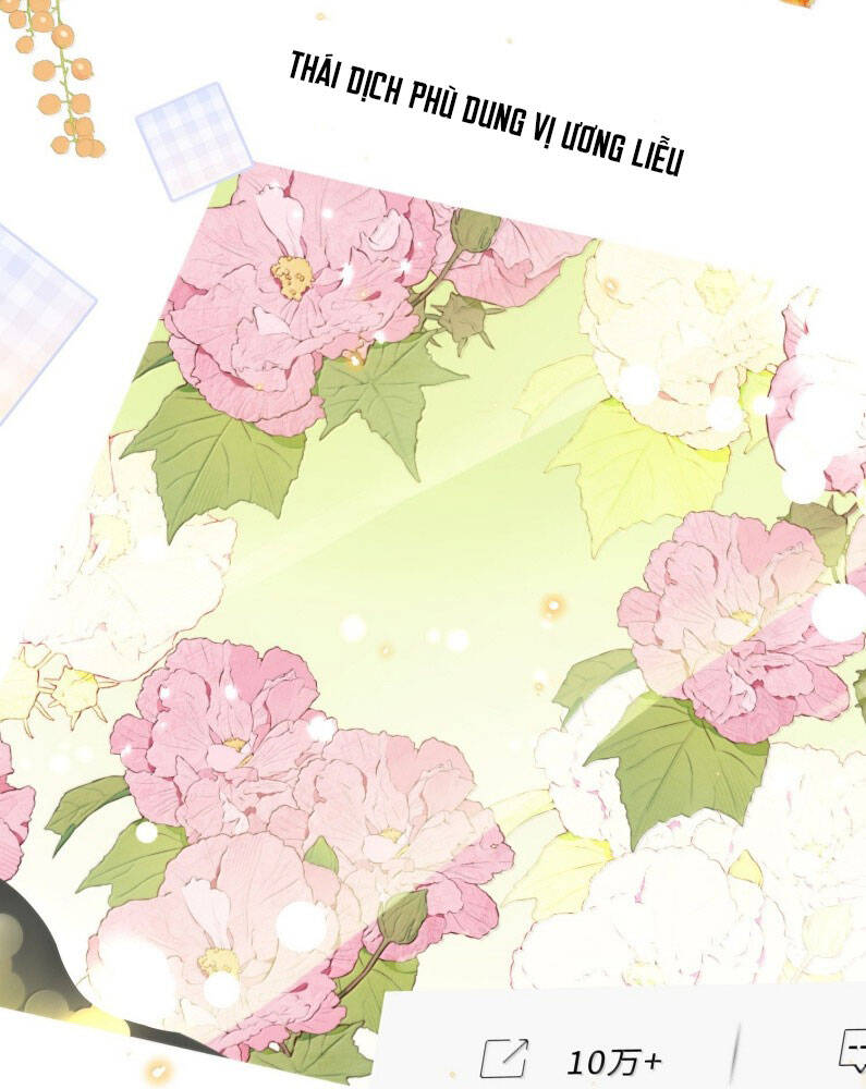 Tổng Tài Định Chế Tư Nhân Chapter  110 - 46