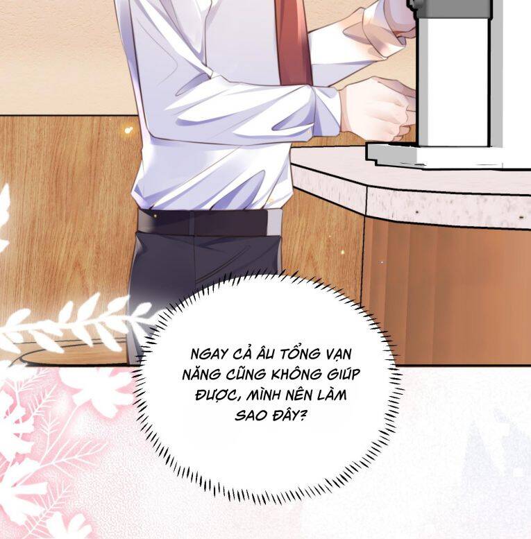 Tổng Tài Định Chế Tư Nhân Chapter  117 - 49