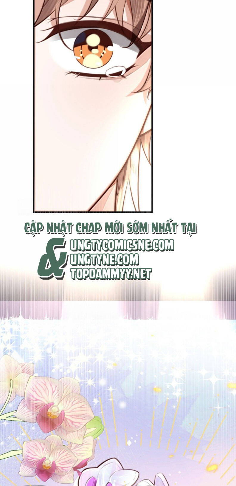 Tổng Tài Định Chế Tư Nhân Chapter 123 - 32