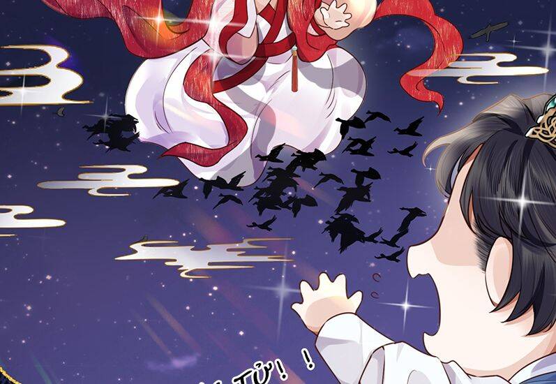 Tổng Tài Định Chế Tư Nhân Chapter  14 - 79