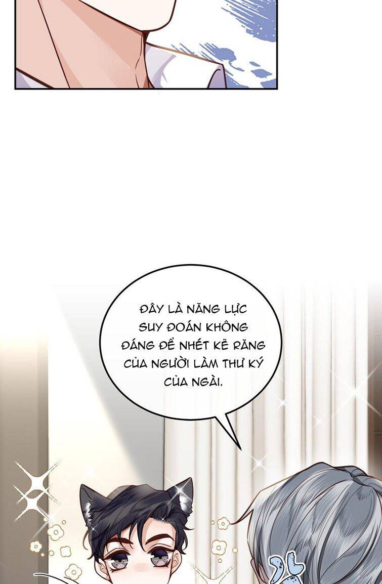 Tổng Tài Định Chế Tư Nhân Chapter 19 - 42