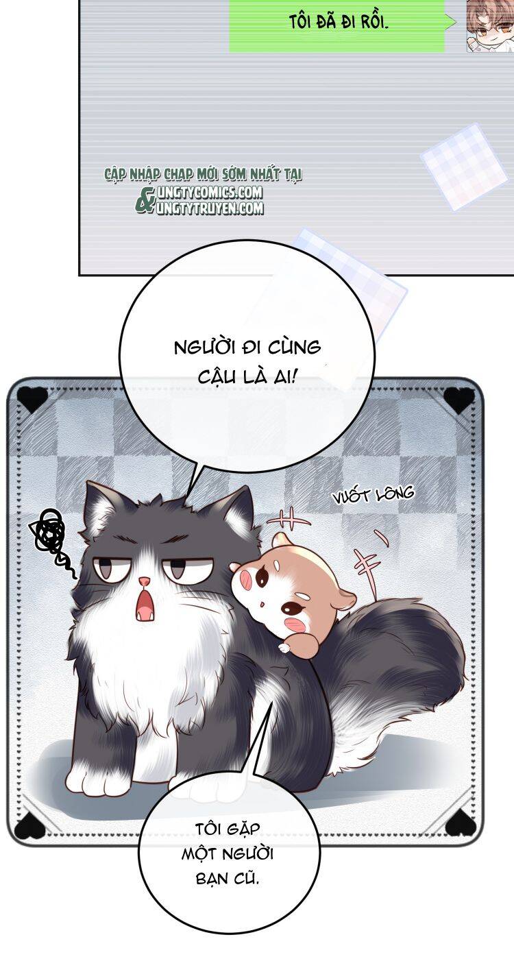 Tổng Tài Định Chế Tư Nhân Chapter 23 - 6