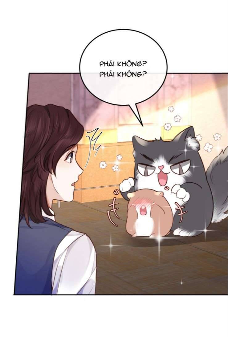 Tổng Tài Định Chế Tư Nhân Chapter  24 - 23