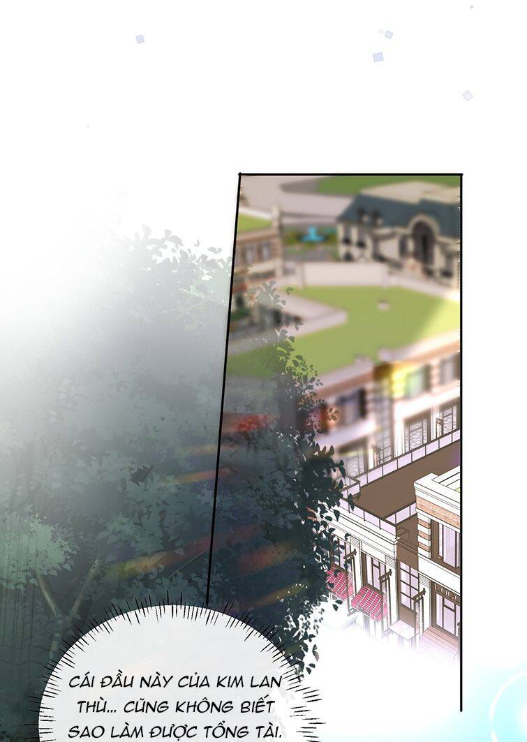 Tổng Tài Định Chế Tư Nhân Chapter  27 - 23