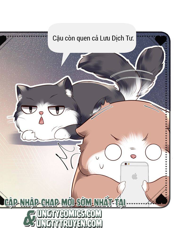 Tổng Tài Định Chế Tư Nhân Chapter  27 - 41