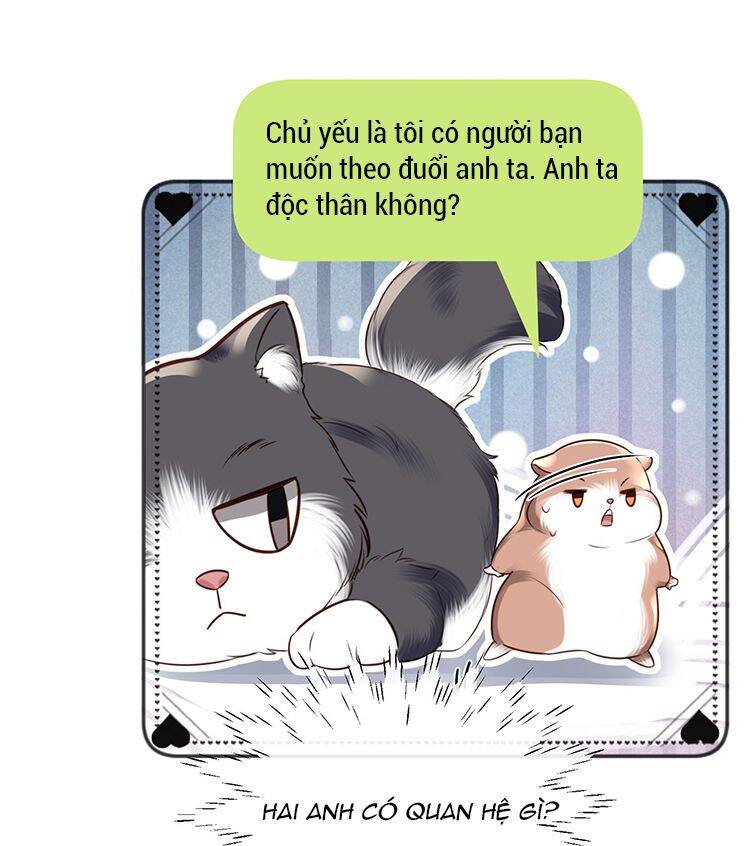 Tổng Tài Định Chế Tư Nhân Chapter  27 - 42