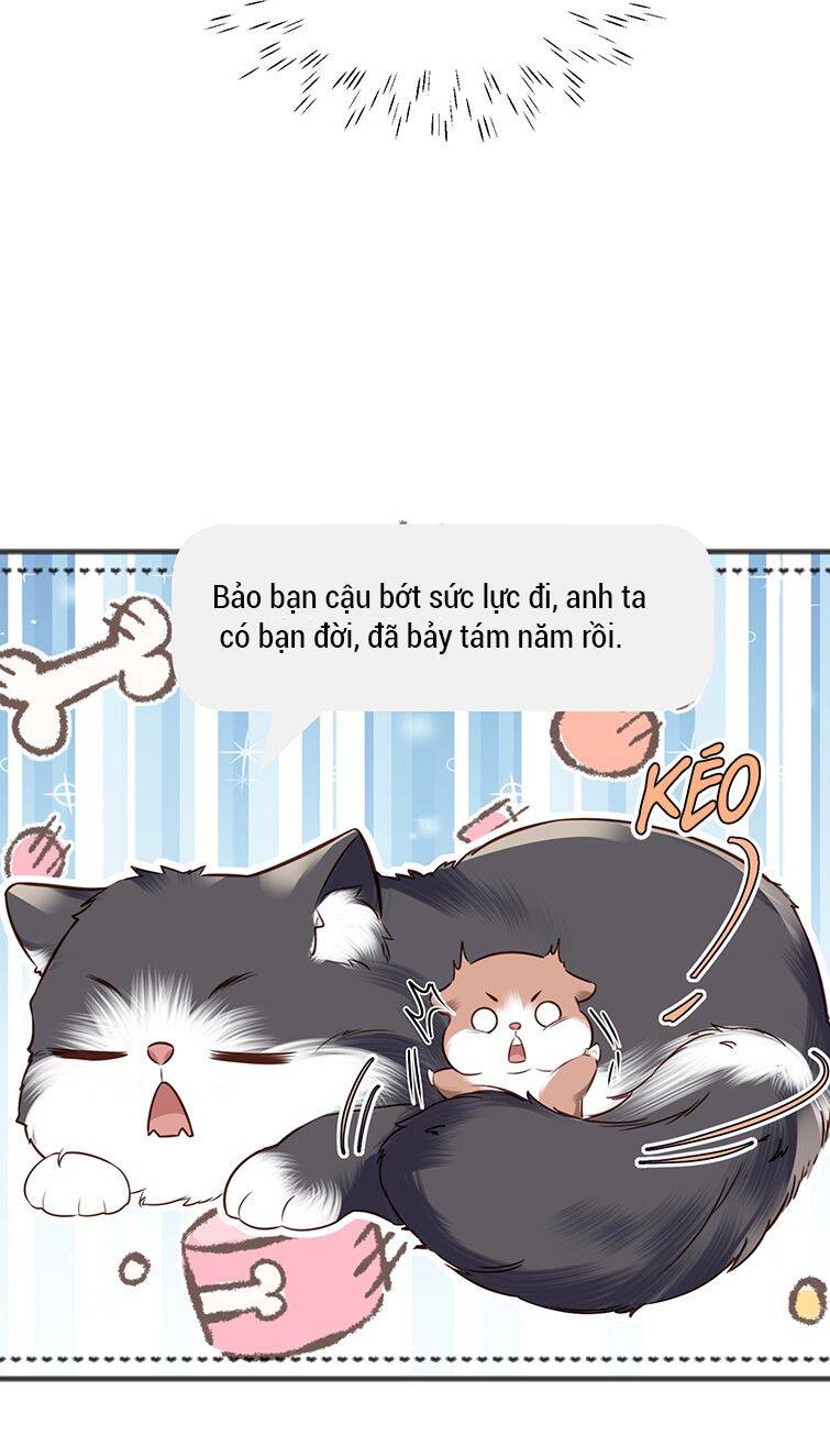 Tổng Tài Định Chế Tư Nhân Chapter 27 - 43
