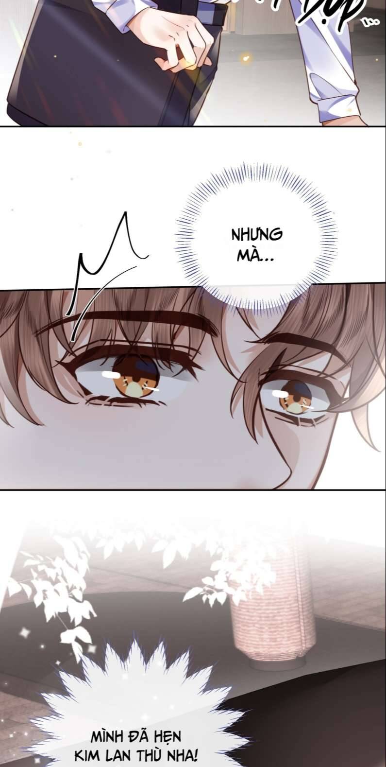 Tổng Tài Định Chế Tư Nhân Chapter  35 - 22