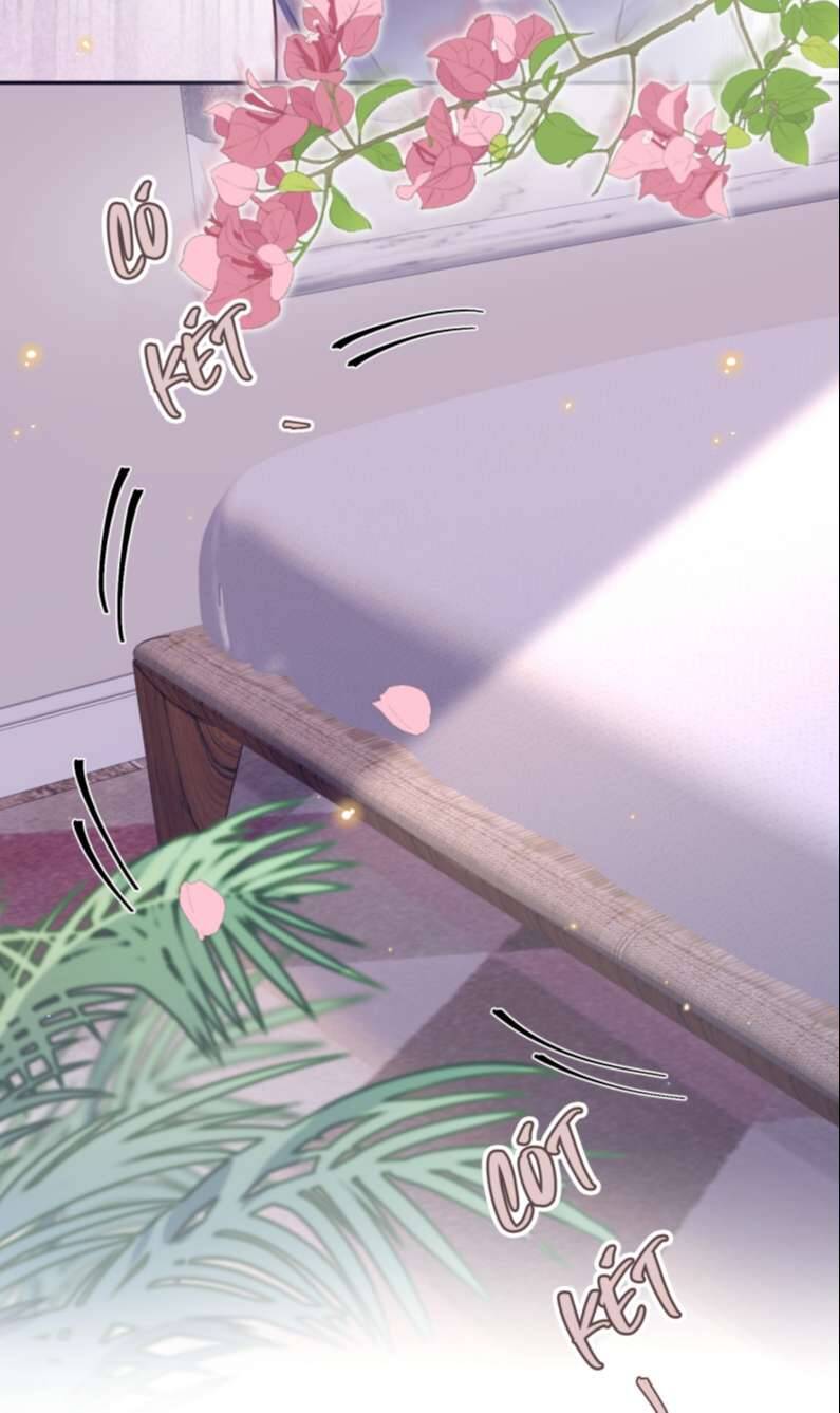 Tổng Tài Định Chế Tư Nhân Chapter  36 - 16