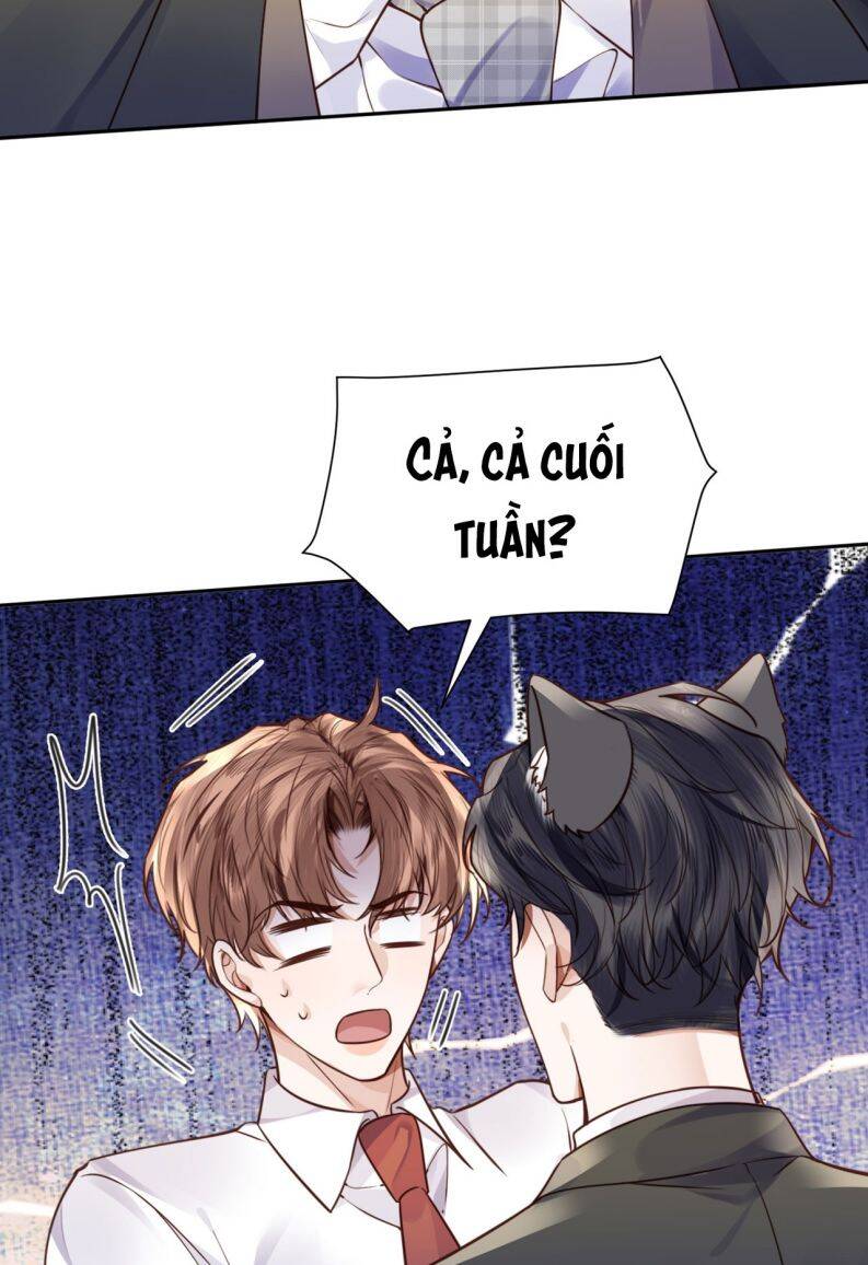 Tổng Tài Định Chế Tư Nhân Chapter  39 - 28