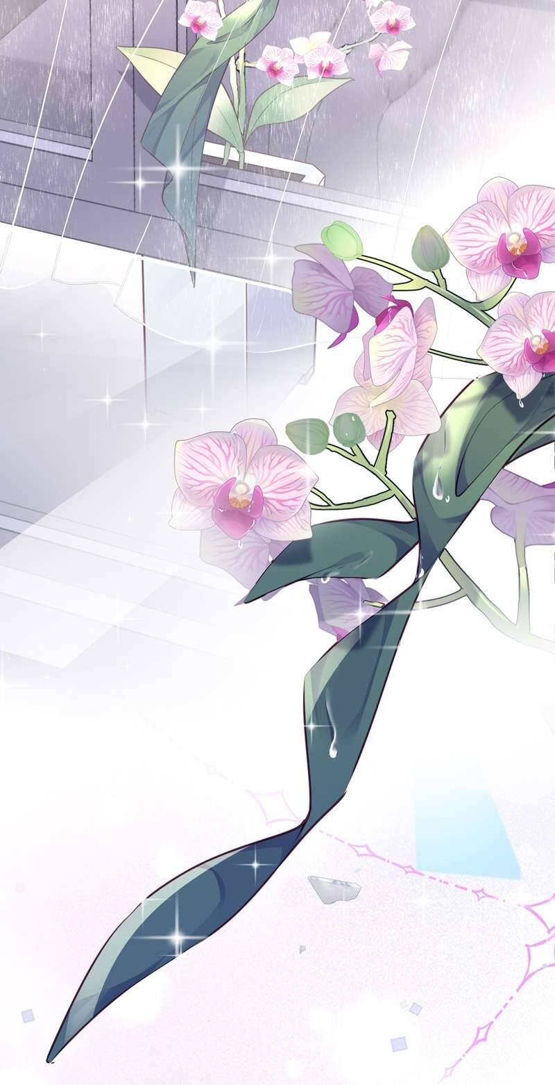 Tổng Tài Định Chế Tư Nhân Chapter  43 - 43