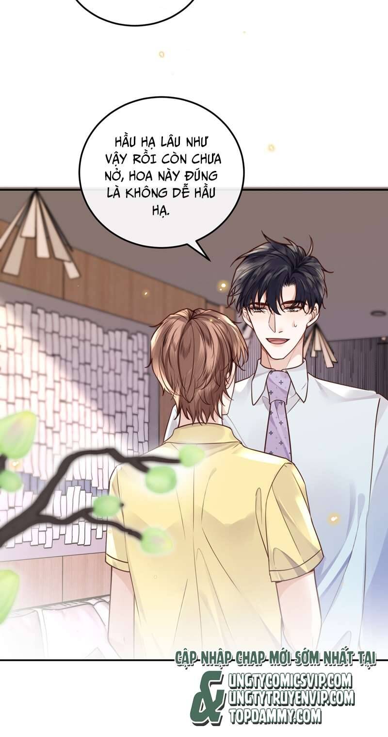 Tổng Tài Định Chế Tư Nhân Chapter  44 - 20