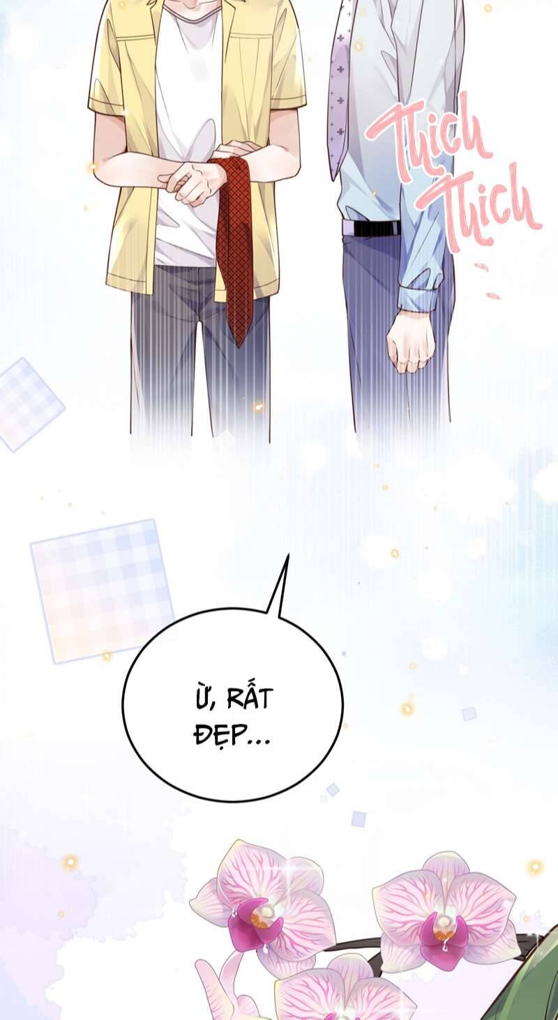 Tổng Tài Định Chế Tư Nhân Chapter  44 - 24