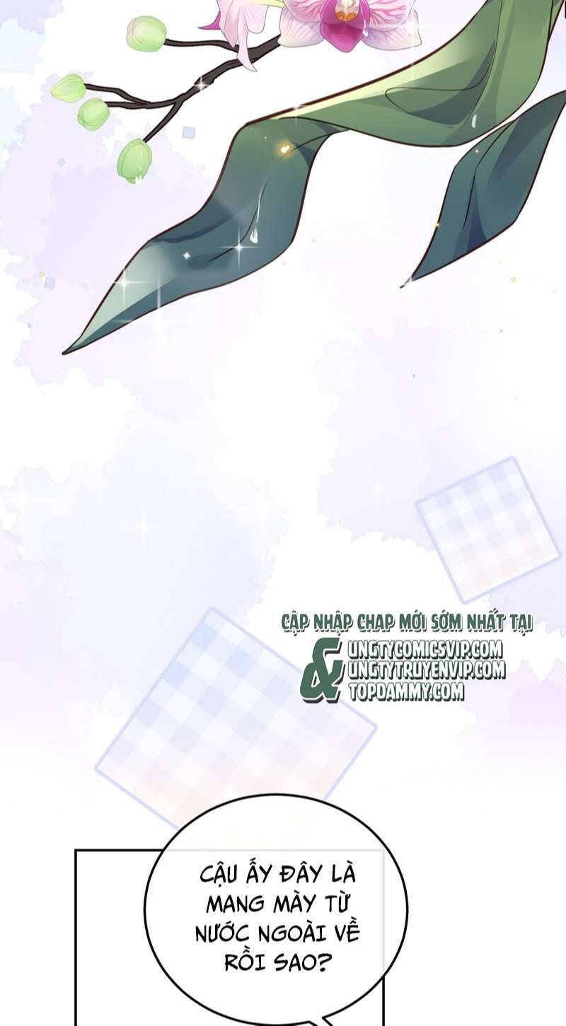 Tổng Tài Định Chế Tư Nhân Chapter  44 - 25