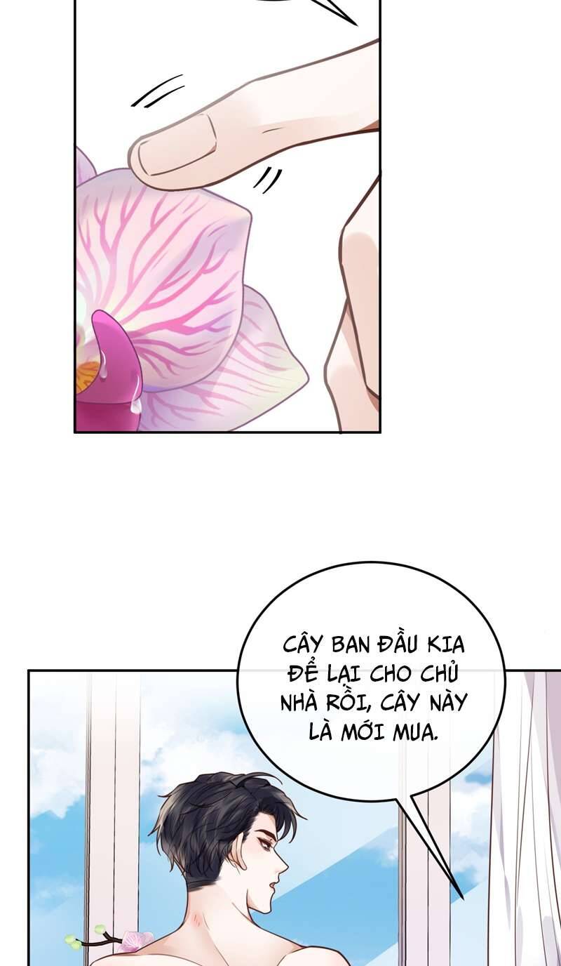 Tổng Tài Định Chế Tư Nhân Chapter  44 - 26