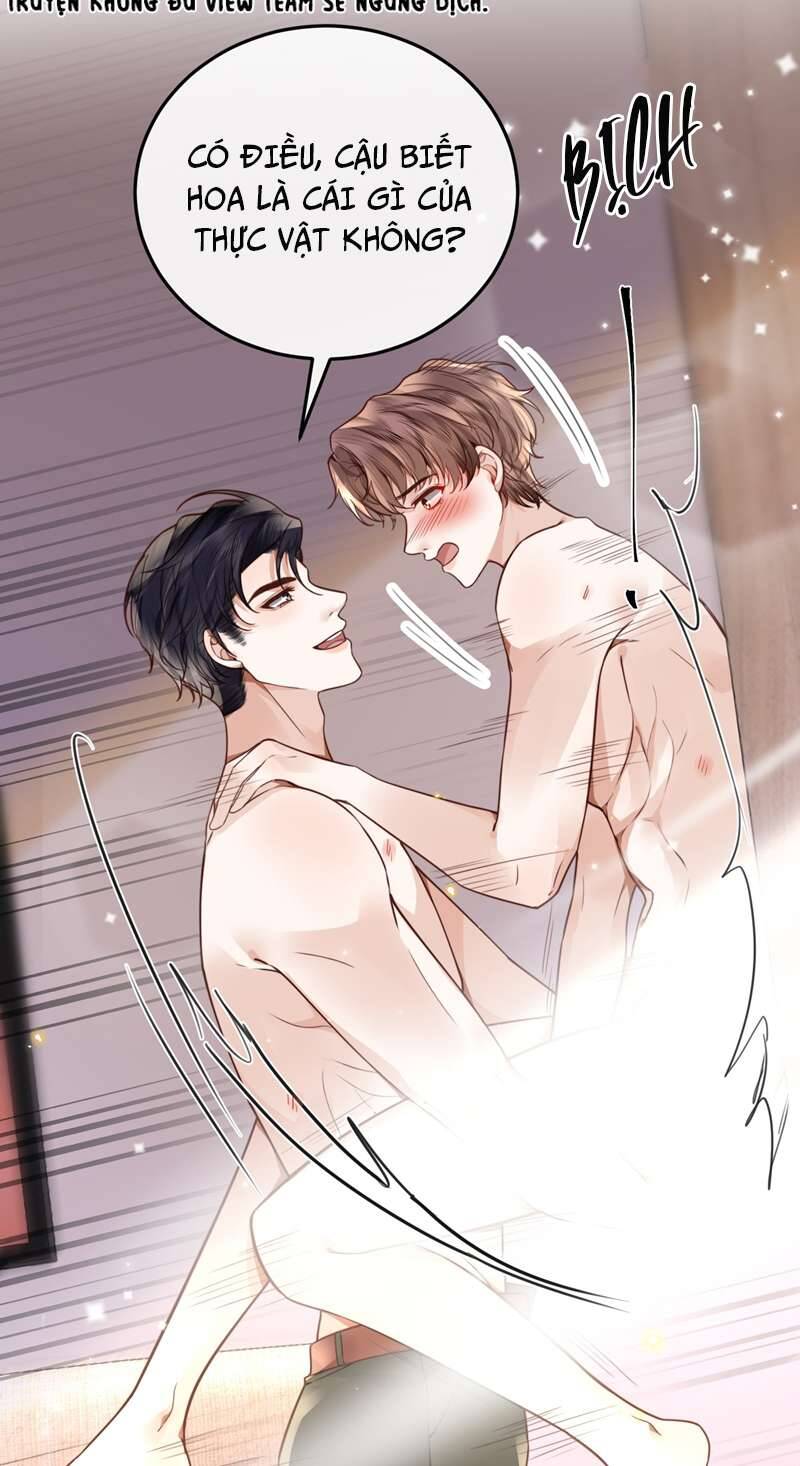 Tổng Tài Định Chế Tư Nhân Chapter  44 - 33