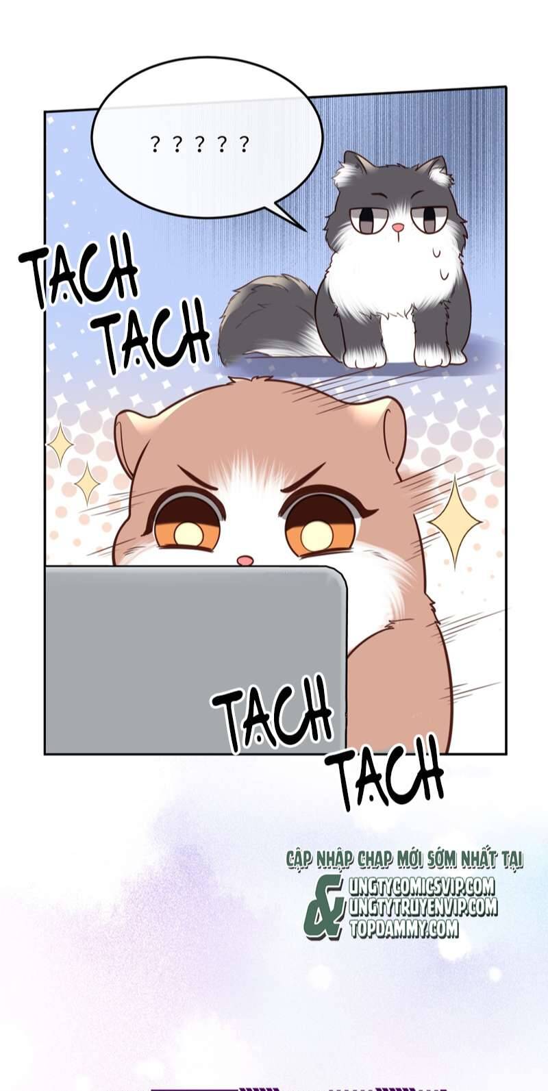 Tổng Tài Định Chế Tư Nhân Chapter  44 - 42