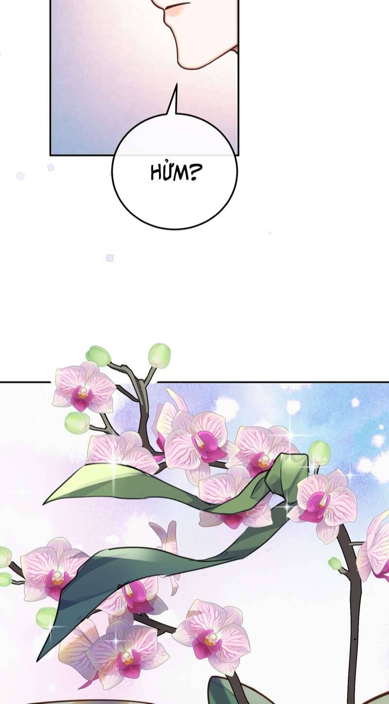 Tổng Tài Định Chế Tư Nhân Chapter  44 - 6