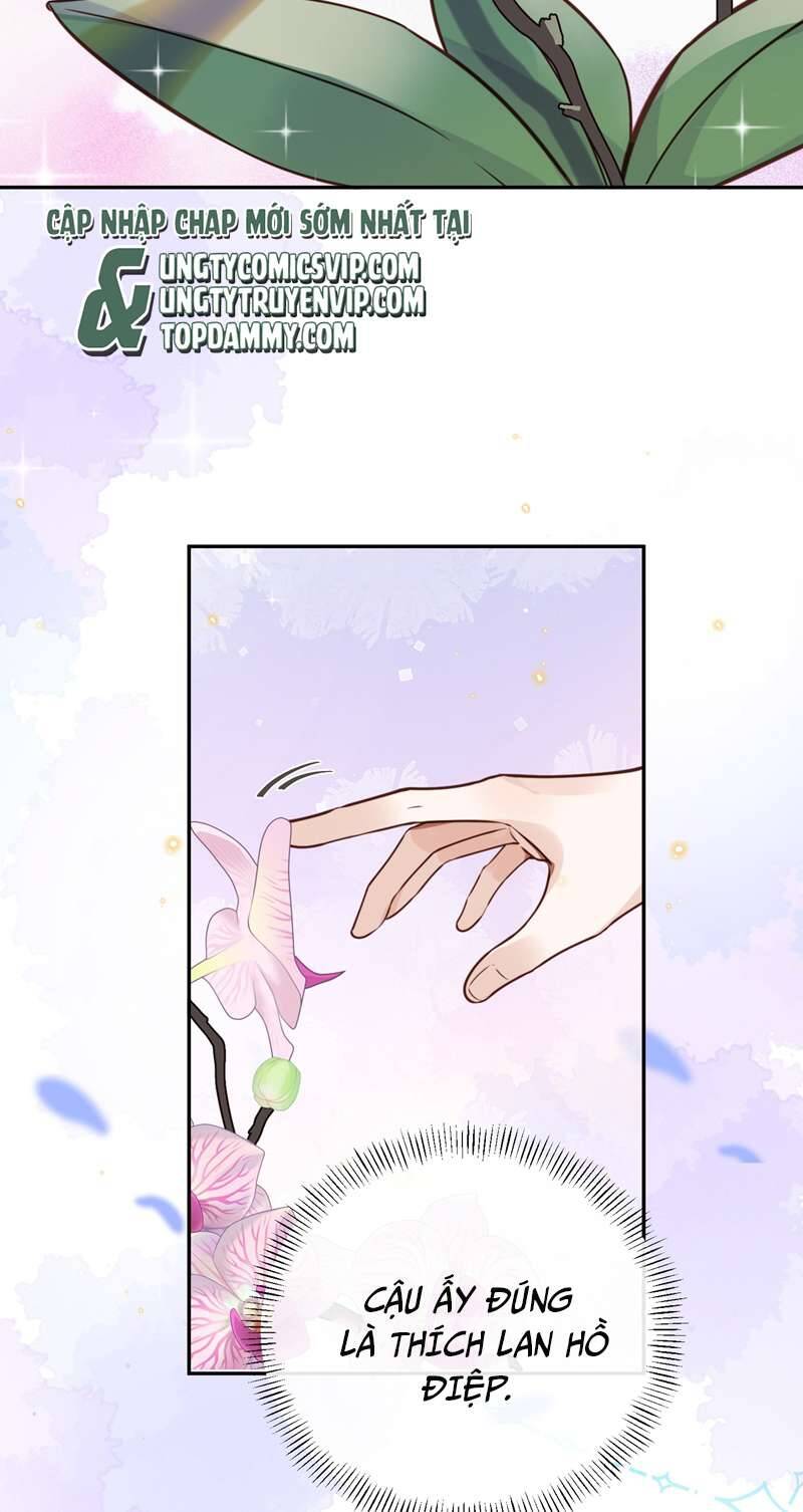 Tổng Tài Định Chế Tư Nhân Chapter  44 - 7